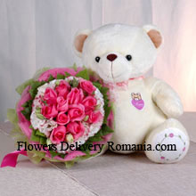 Bunch Of 11 Pink Roses And A Medium Sized Cute Teddy Bear Delivered in Romania