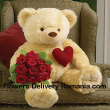 Bunch Of 11 Red Roses With A 32 Inches Tall Teddy Bear Delivered in Romania