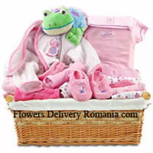 Kit pour nouveau-né pour une fille comprenant tous les produits essentiels comme les articles de toilette, etc.