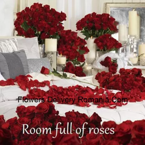 La nostra stanza piena di rose ha molte disposizioni di rose rosse - Il numero totale di rose nel pacchetto è 1001